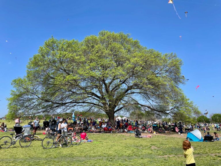 Zilker Metropolitan Park – Guide To Austin Architecture